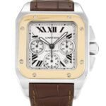 Luxury Cartier Santos 100 W20091X7Men's Watch
